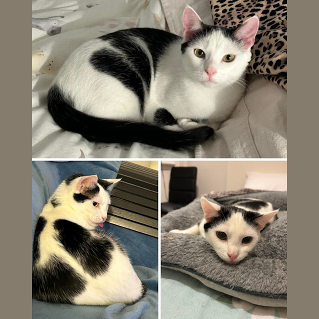 Photo of Minnie And Martie  