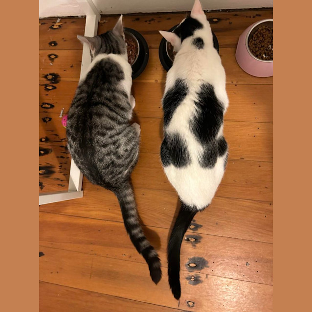 Photo of Minnie And Martie  