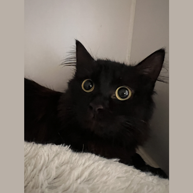 Photo of Wednesday