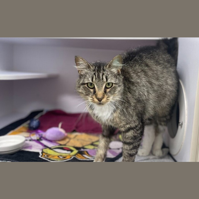 Photo of Pepper