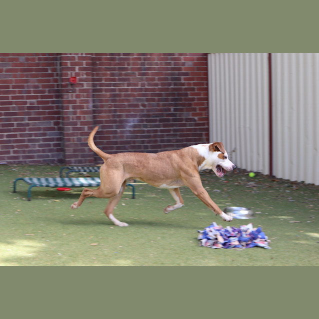 Photo of Winston