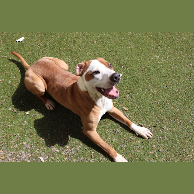 Photo of Winston