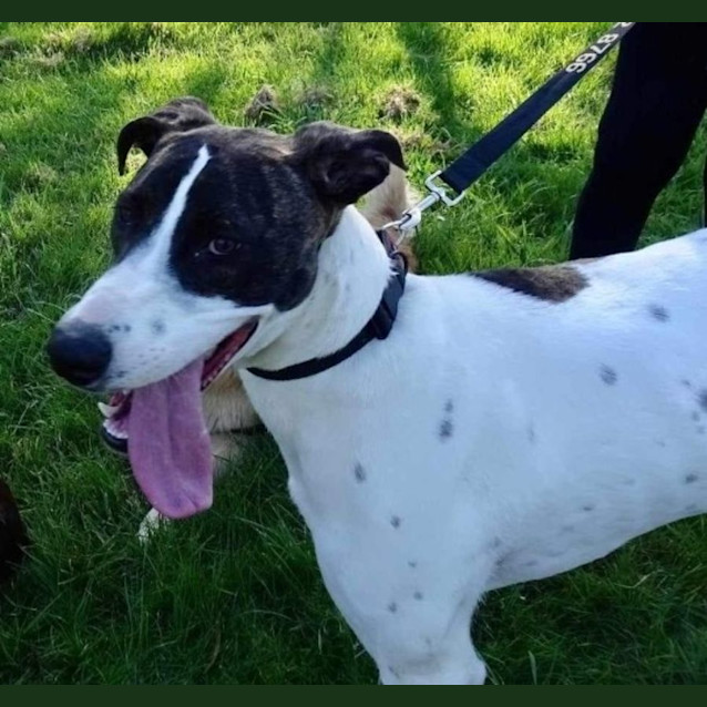 Photo of May Applegate