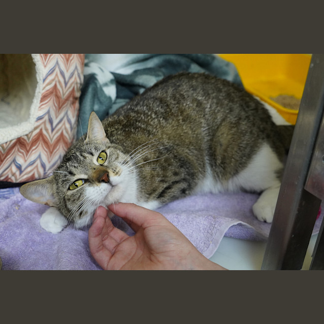 Photo of Talulah