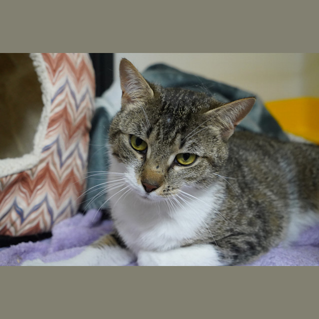 Photo of Talulah