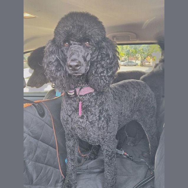 Photo of Lola And Eva