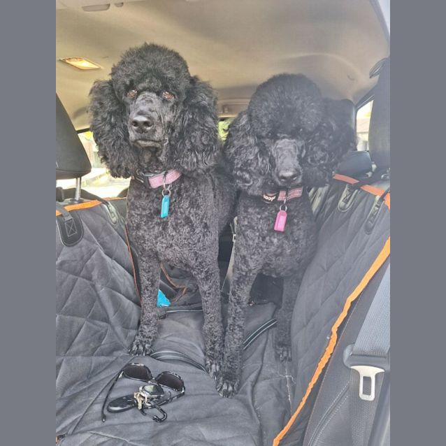 Photo of Lola And Eva