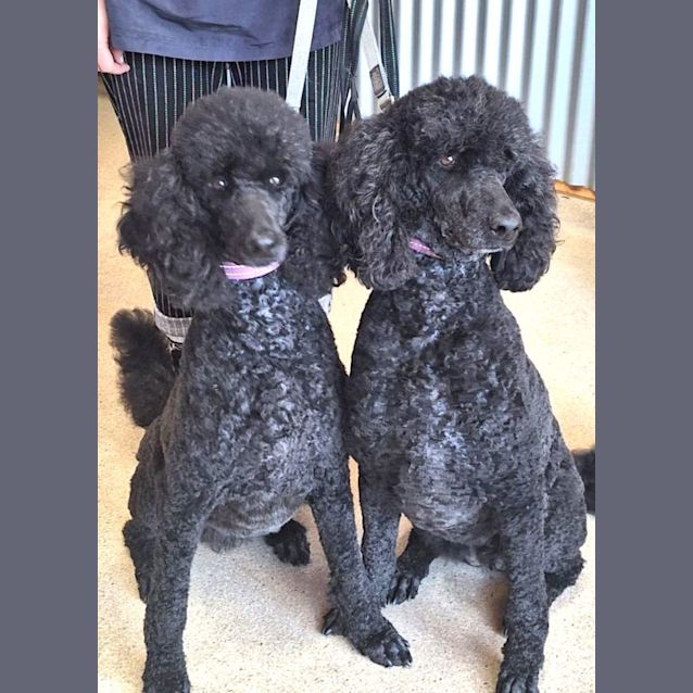 Photo of Lola And Eva