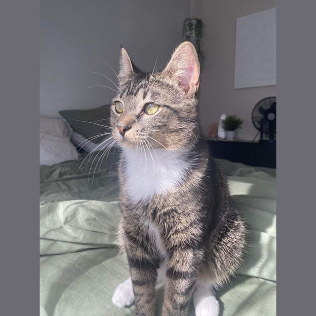 Photo of Murphy   Located In Endeavour Hills