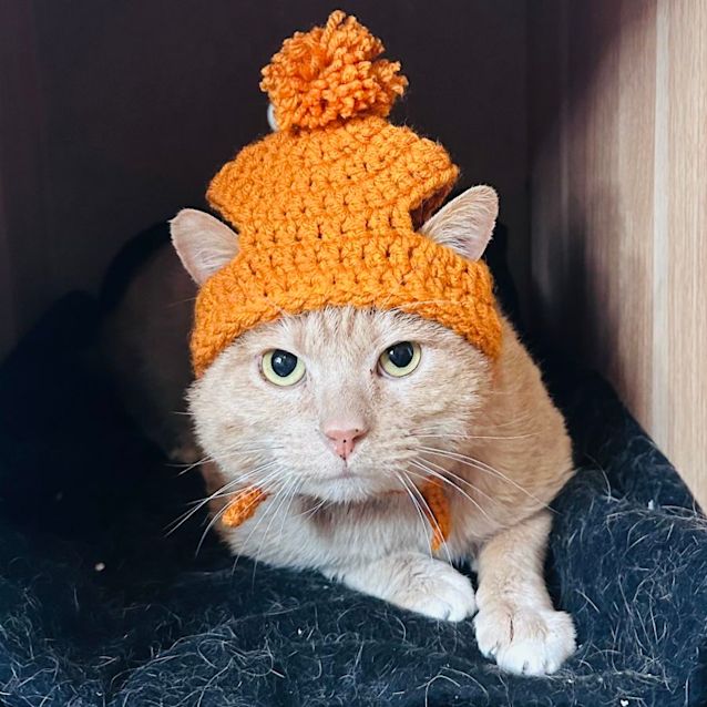 Photo of Gregory   Located In Preston