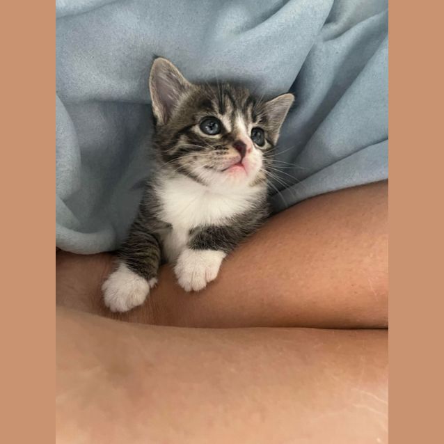 Photo of 🥟💙 Dumpling 💙🥟