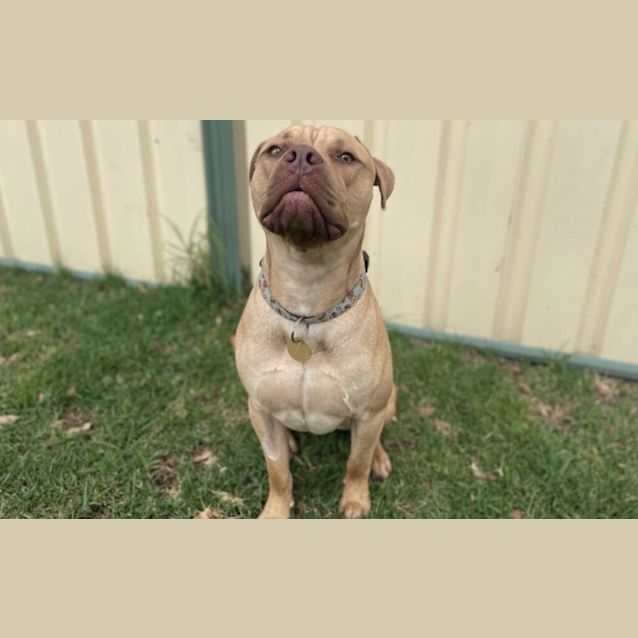Photo of Marley