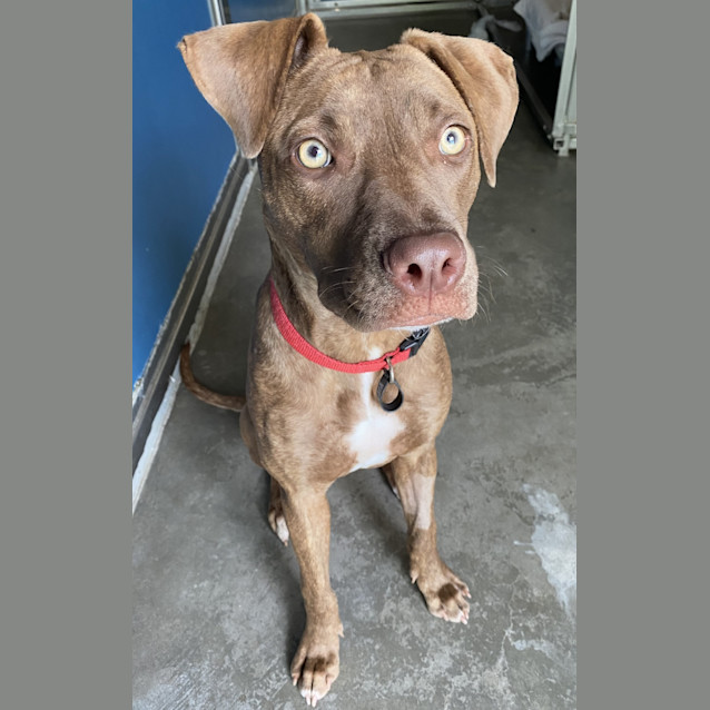 Photo of Stretch