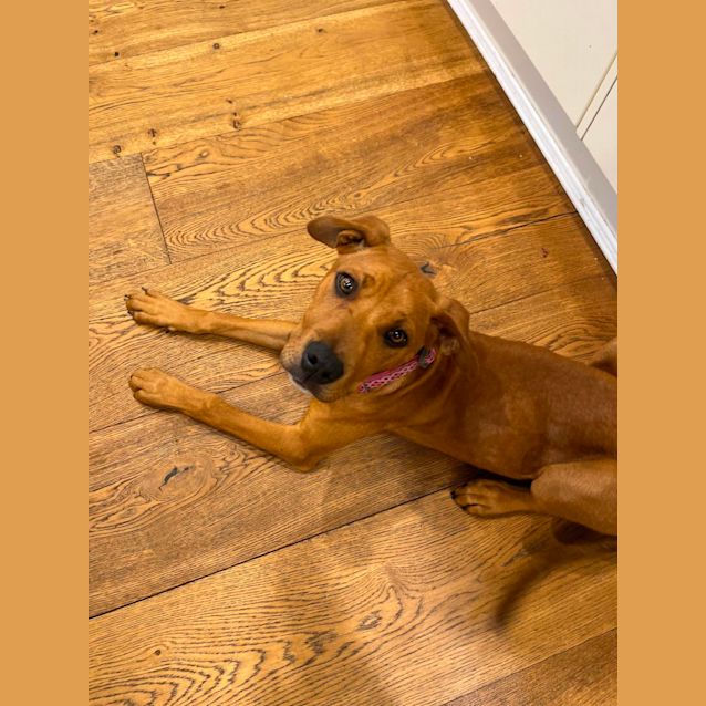 Photo of Galileo