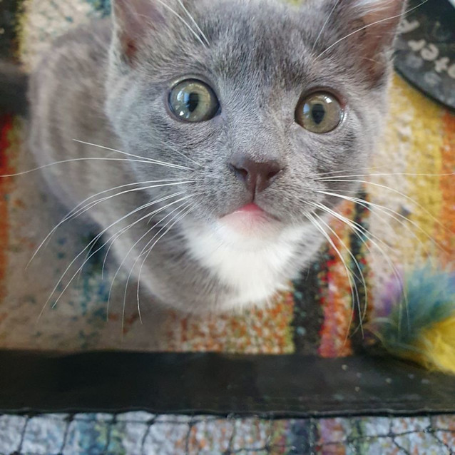 Photo of Marley 🌸