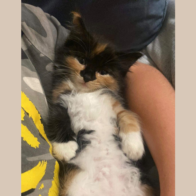 Photo of Grace Kelly