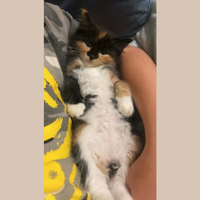 Photo of Grace Kelly