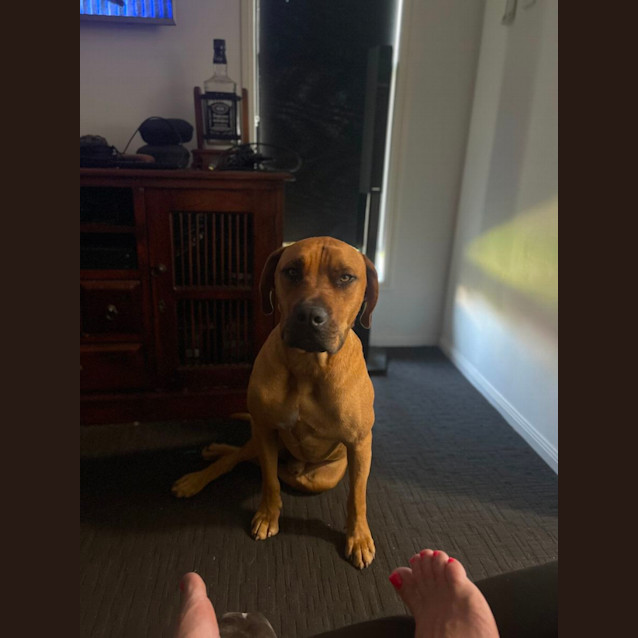 Photo of Gunner