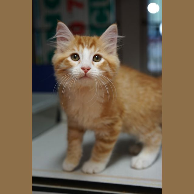 Photo of Hudson