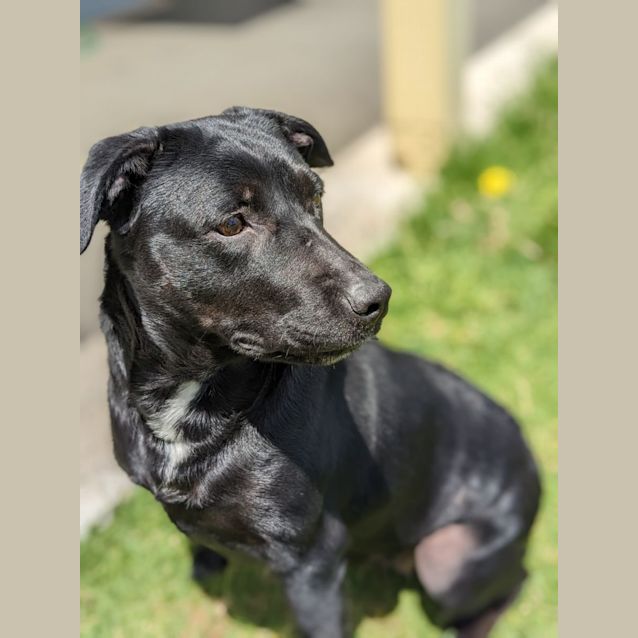 Photo of 🍂 Tess C04645 🍂