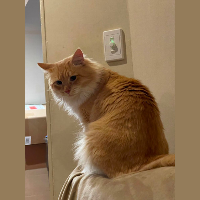 Photo of Sunny