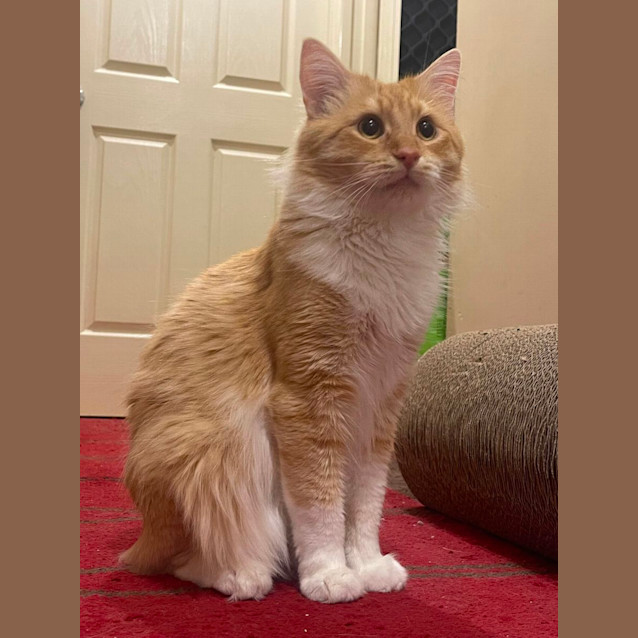 Photo of Sunny