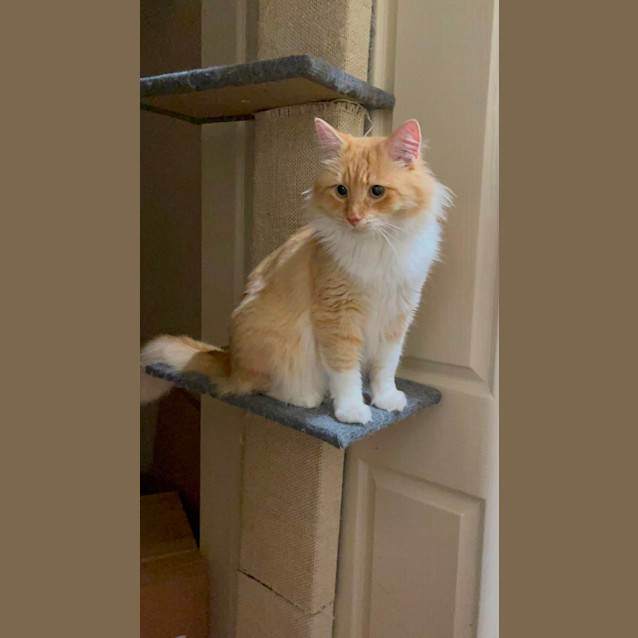 Photo of Sunny