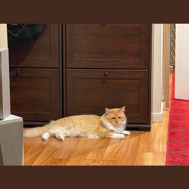 Photo of Sunny