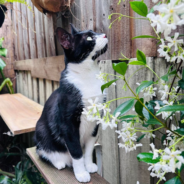 Photo of Logan   Located In Preston 