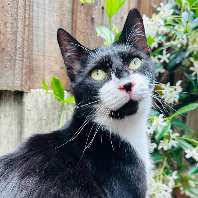 Photo of Logan   Located In Preston 