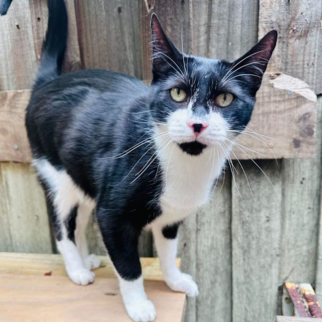 Photo of Logan   Located In Preston 