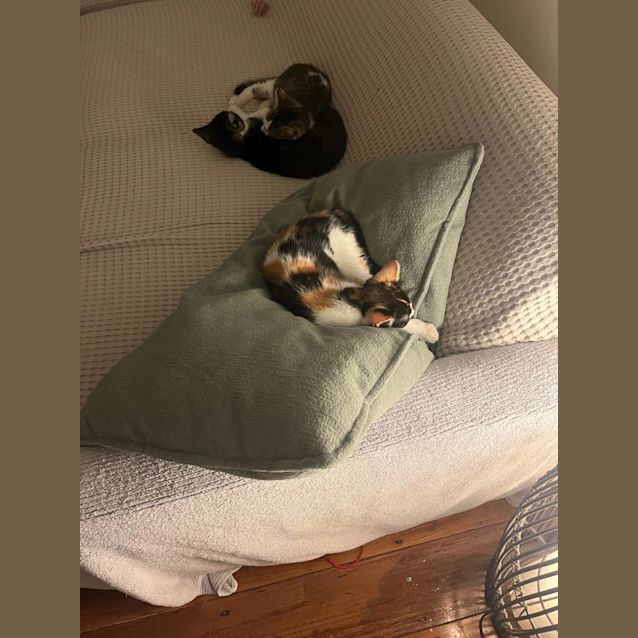 Photo of Yuki