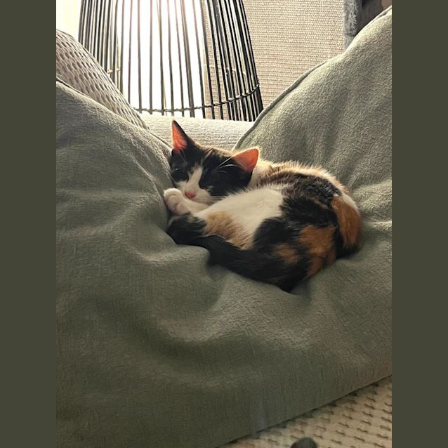Photo of Yuki