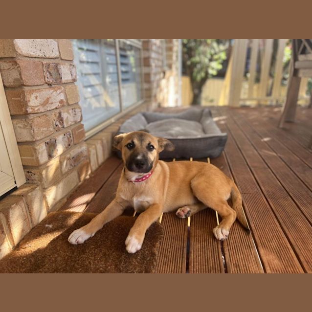 Photo of Izzy