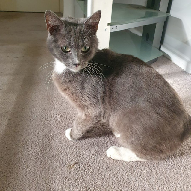 Photo of Olive Rose 🌹