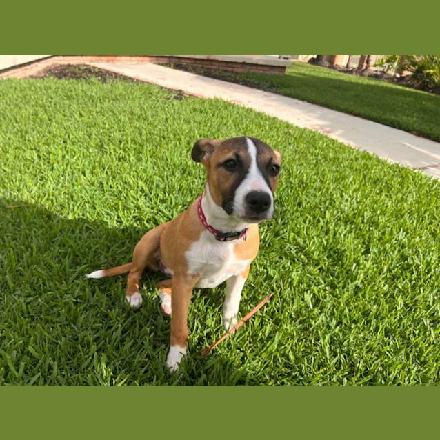 Photo of Remi