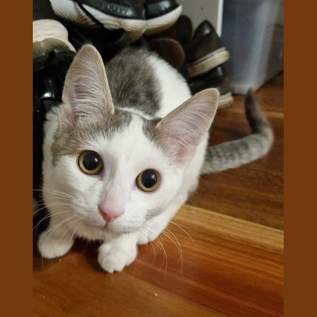 Photo of Finn