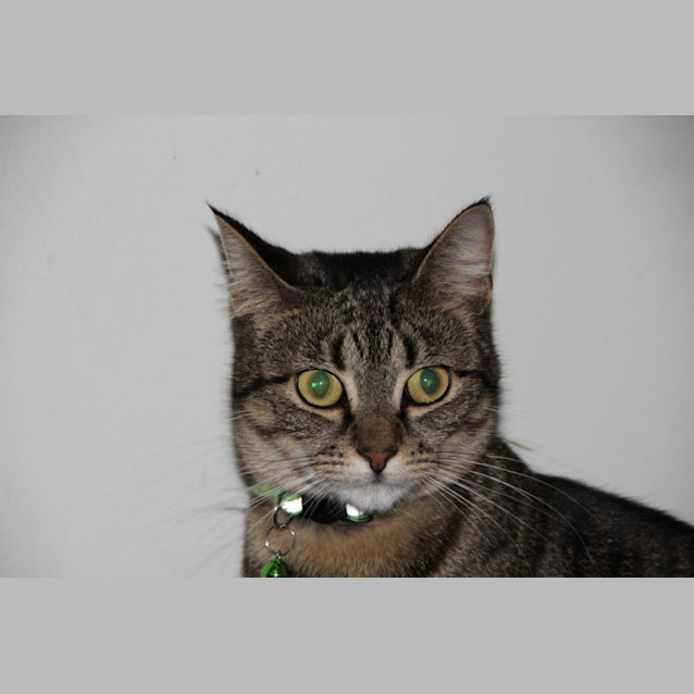Photo of Emily