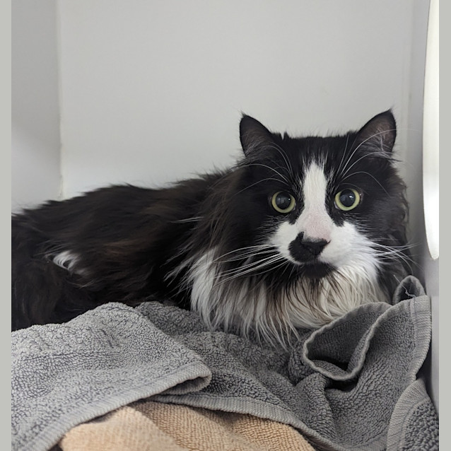 Photo of Charlie