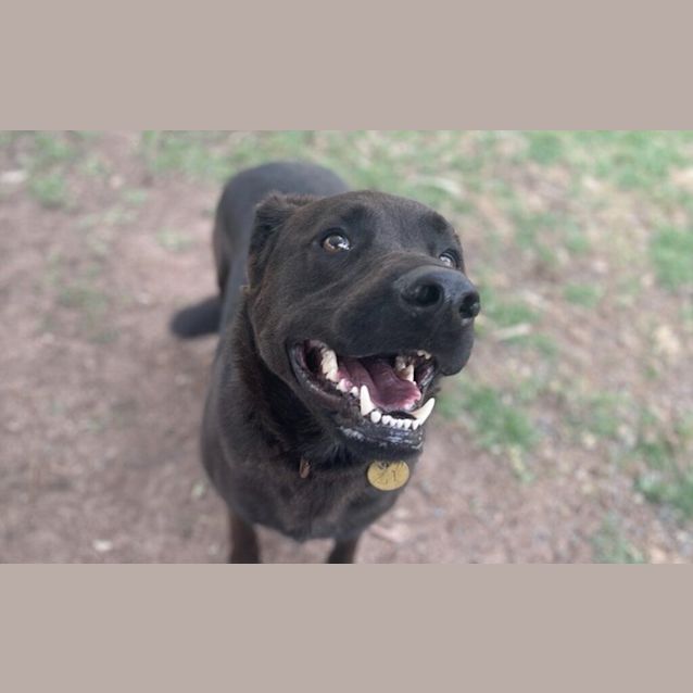 Photo of Maverick