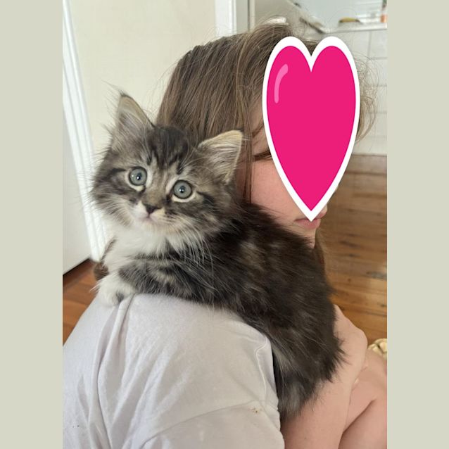 Photo of Marshmellow