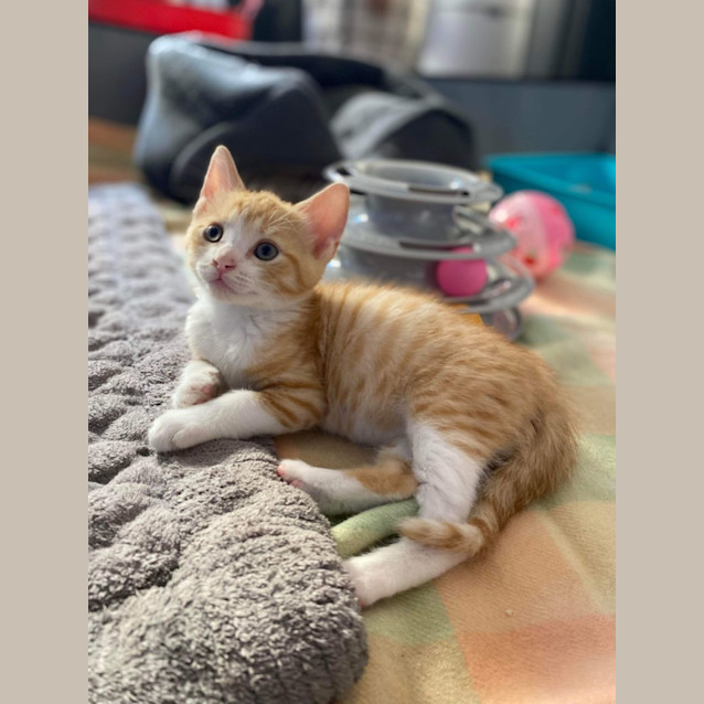 Photo of Kiddo