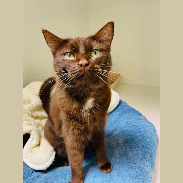 Photo of Ivy   Located In Kew