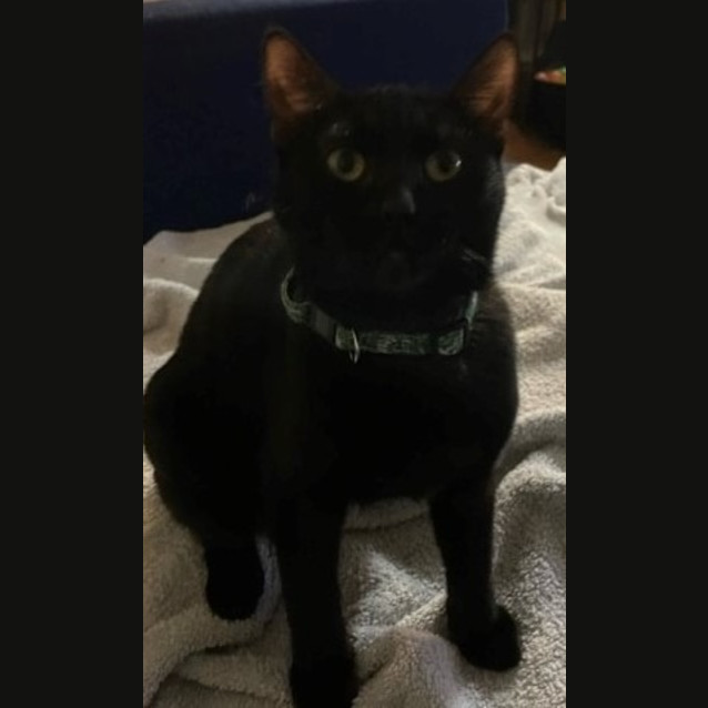 Photo of Star