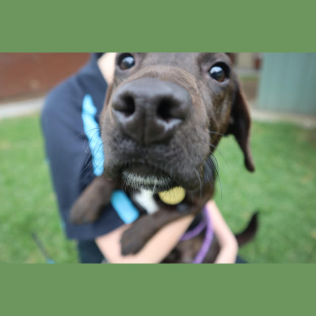 Photo of Jack Jack