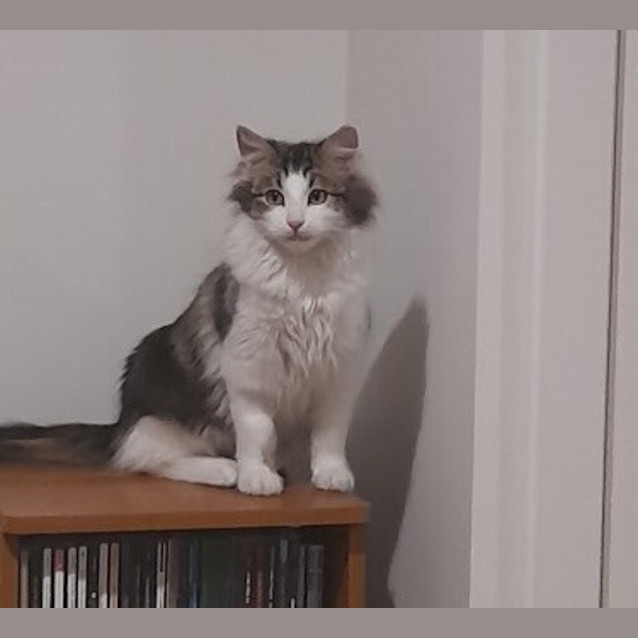 Photo of Raymond 
