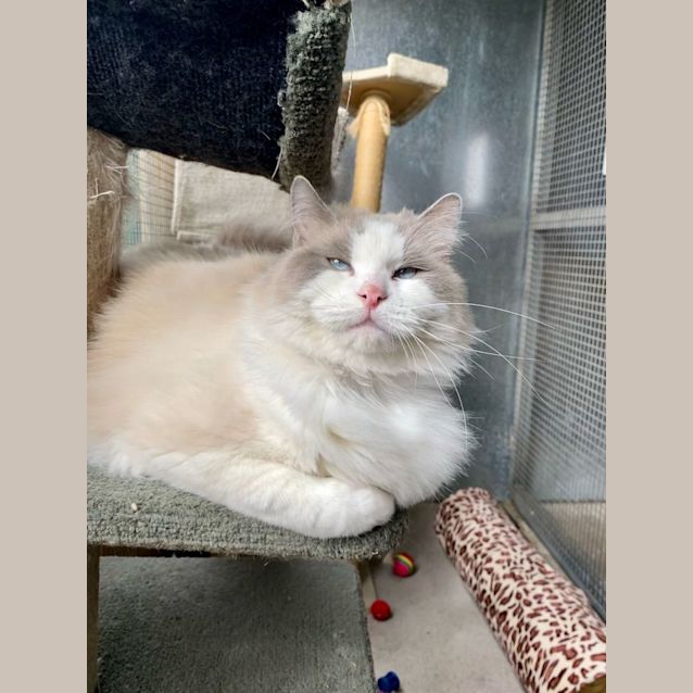 Photo of Wesley Oliver 