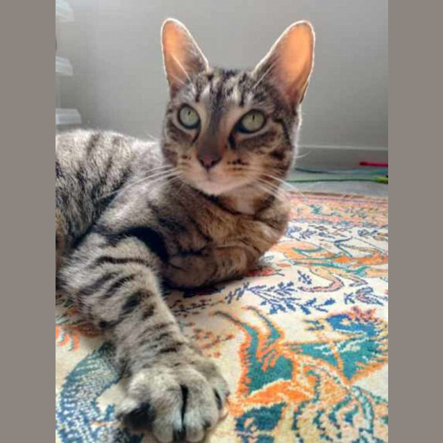 Photo of Lilly