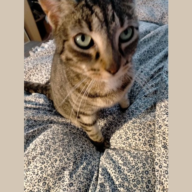Photo of Lilly