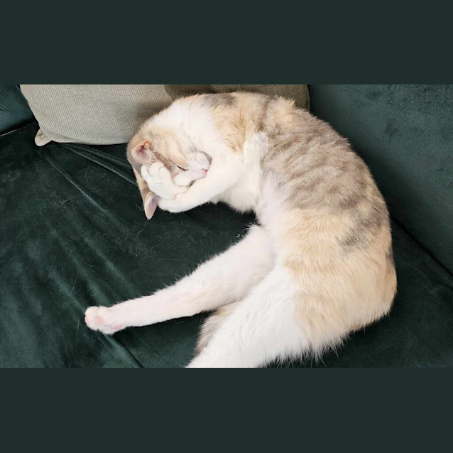 Photo of Winifred